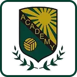 Academy Volleyball Logo