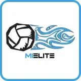 Michigan Elite Volleyball Logo